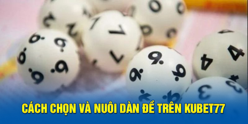 Cách chọn và nuôi dàn đề trên Kubet77