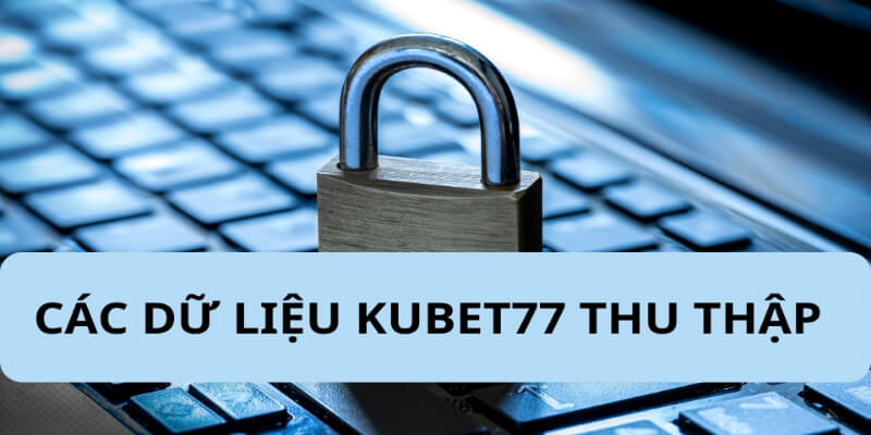 Danh sách các dữ liệu Kubet được thu thập