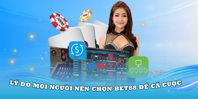 ly-do-nen-cho-bet88-de-ca-cuoc